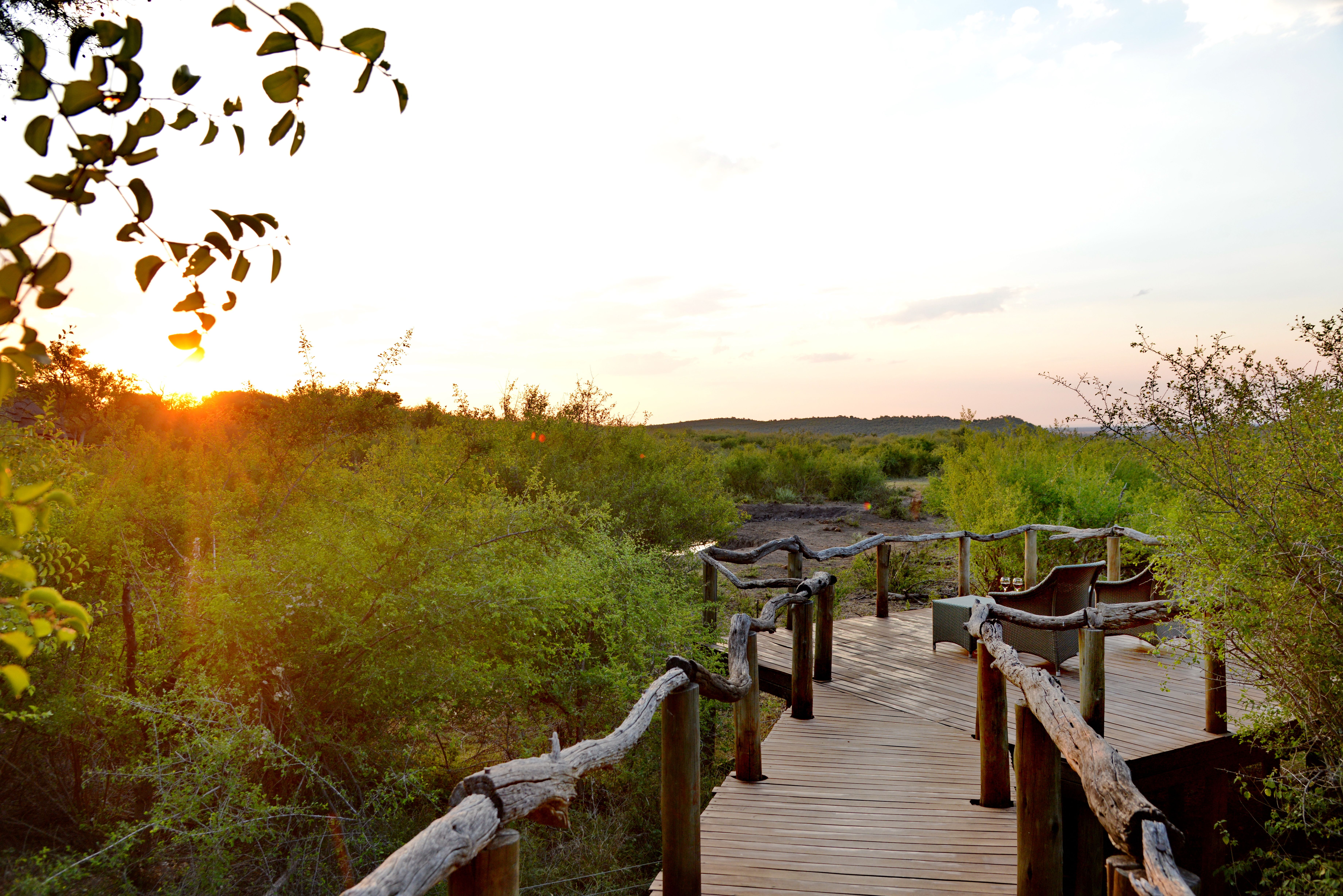 Viewing deck. Motswiri lodge Madikwe